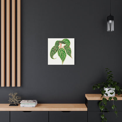 Aglaonema Sparkling Sarah Canvas Print – Botanical Wall Art
