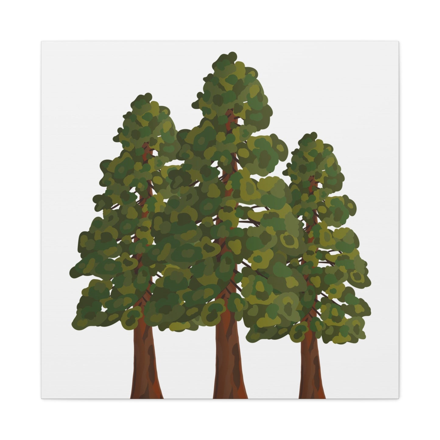 Coastal Redwood Canvas Print – Wall Art