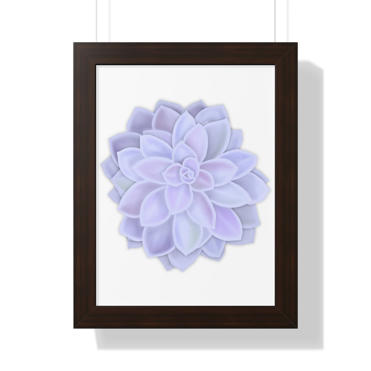 Graptopetalum Murasaki Succulent Framed Print – Botanical Wall Art