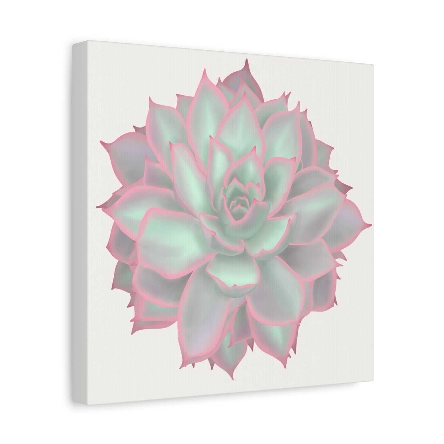 Echeveria Violet Queen Succulent Canvas Print – Botanical Wall Art