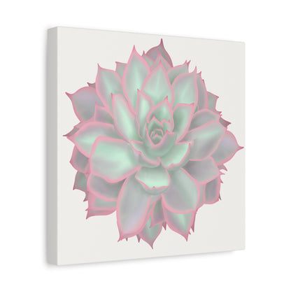 Echeveria Violet Queen Succulent Canvas Print – Botanical Wall Art