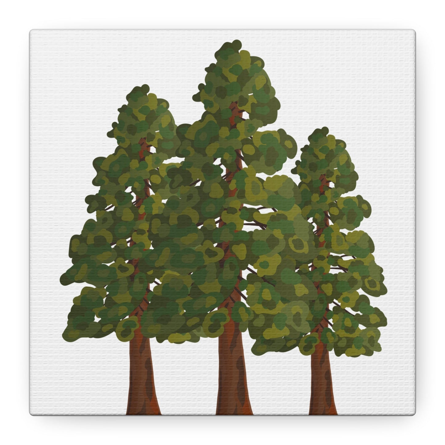 Coastal Redwood Canvas Print – Wall Art