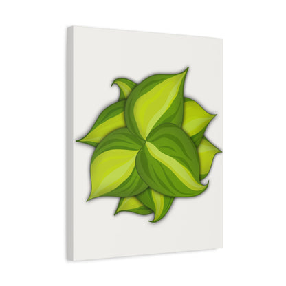 Philodendron Brasil Canvas Print – Botanical Wall Art