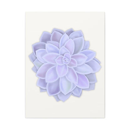 Graptopetalum Murasaki Succulent Canvas Print – Botanical Wall Art