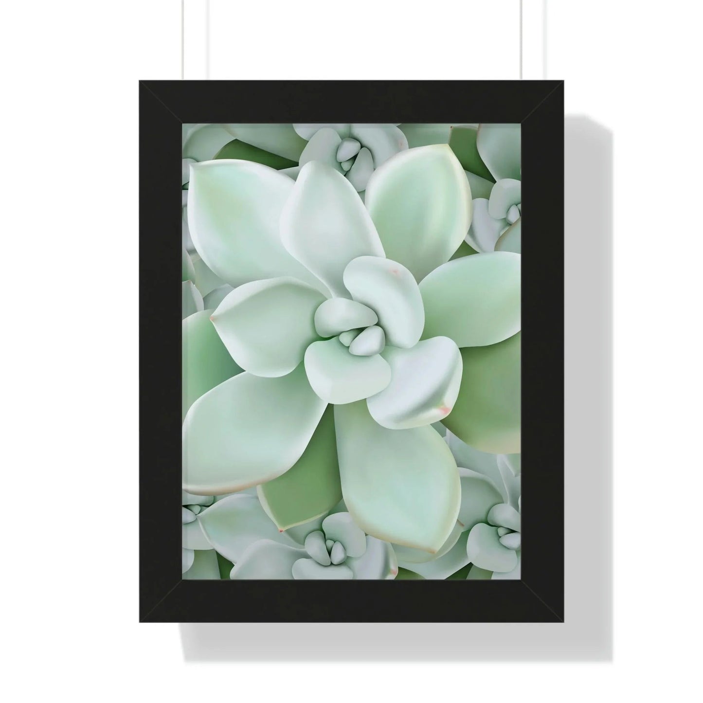 Pachyveria Haagei Succulent Pattern Framed Print – Botanical Wall Art