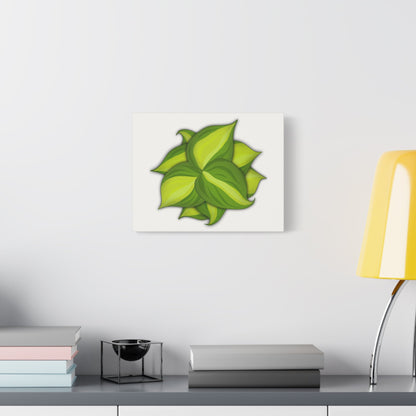 Philodendron Brasil Canvas Print – Botanical Wall Art
