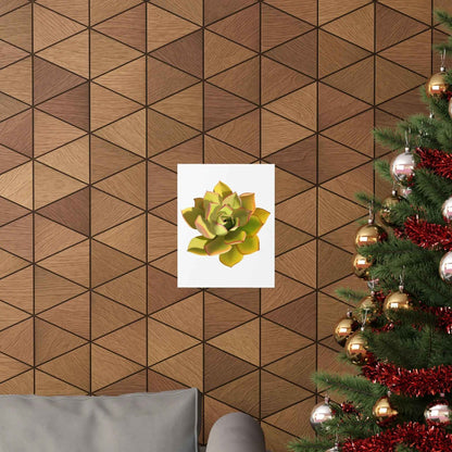 Noble Aeonium Succulent Botanical Print – Unframed Wall Art