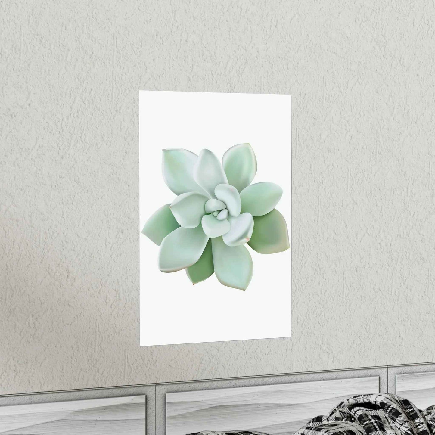 Pachyveria Haagei Succulent Botanical Print – Unframed Wall Art