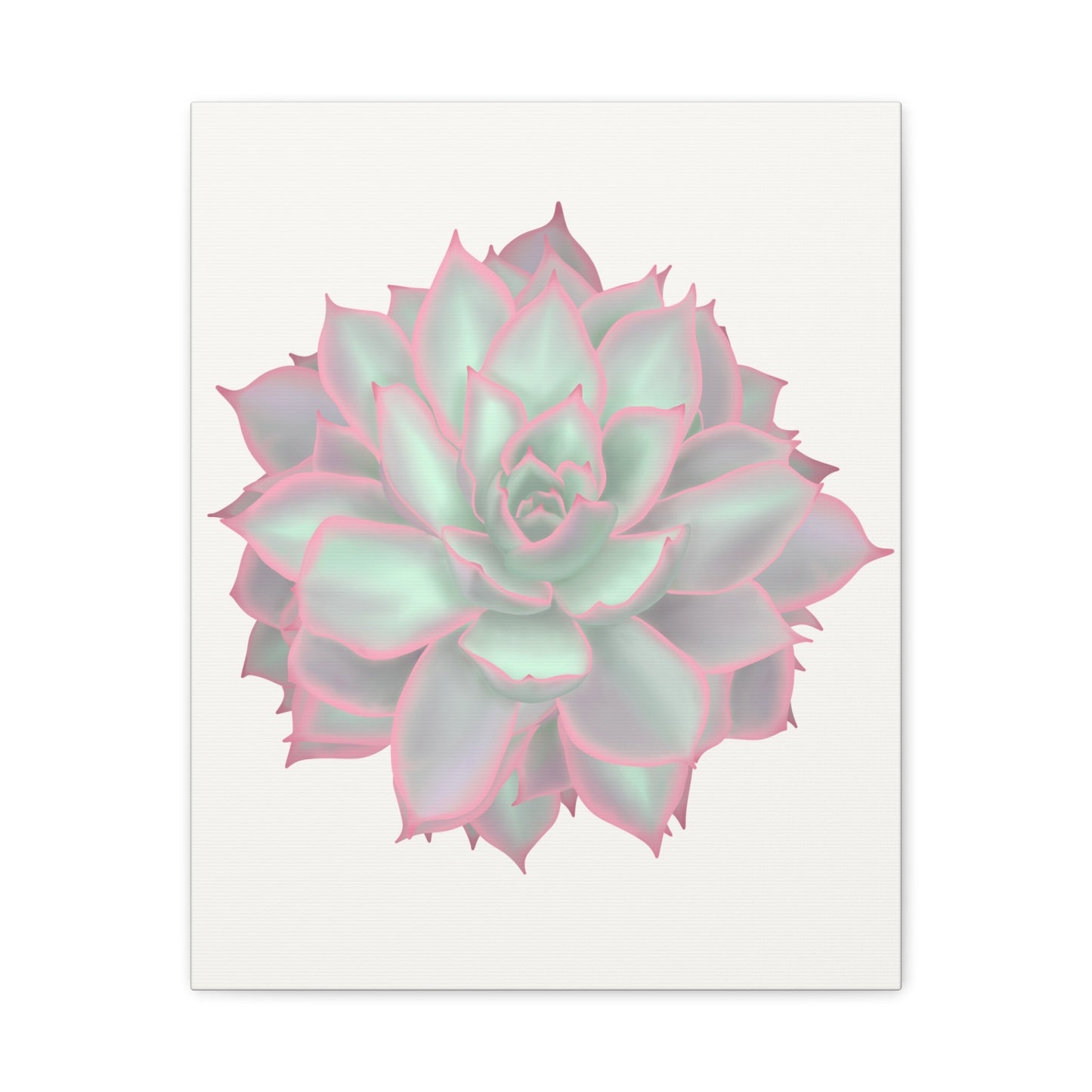 Echeveria Violet Queen Succulent Canvas Print – Botanical Wall Art