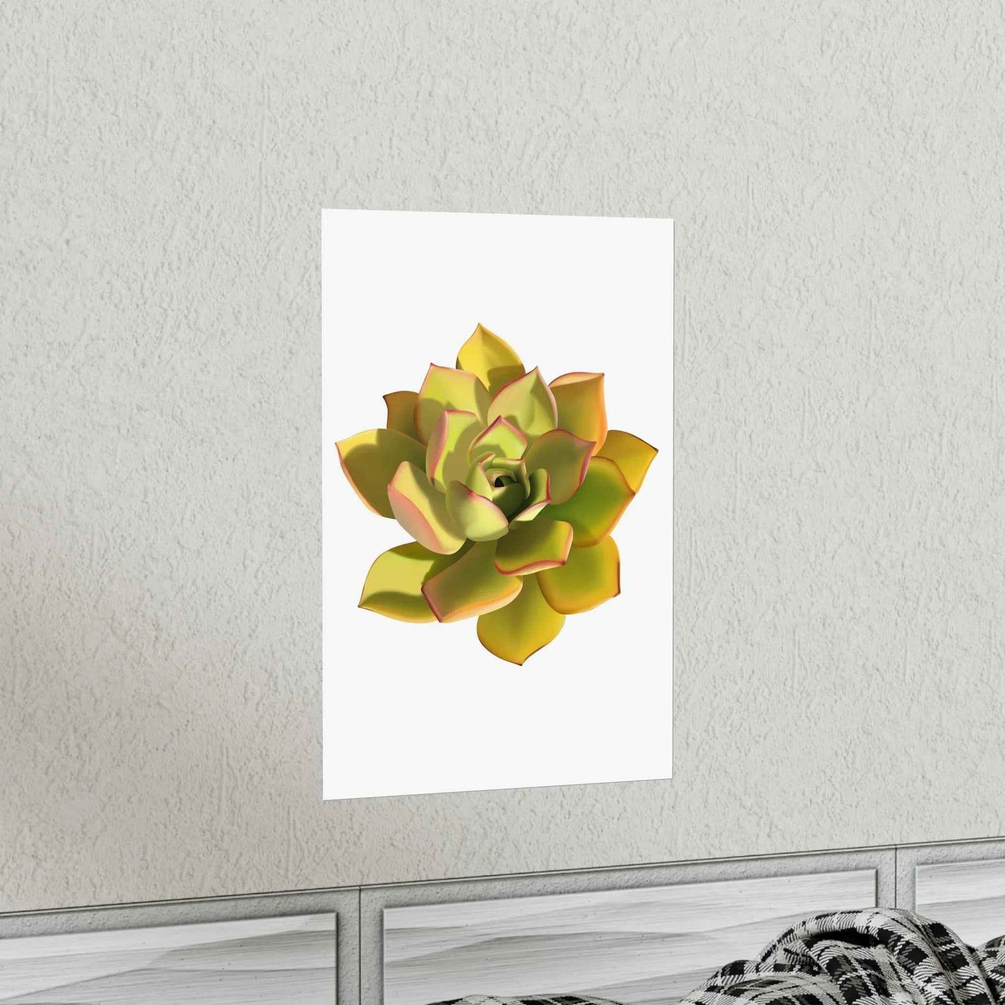 Noble Aeonium Succulent Botanical Print – Unframed Wall Art