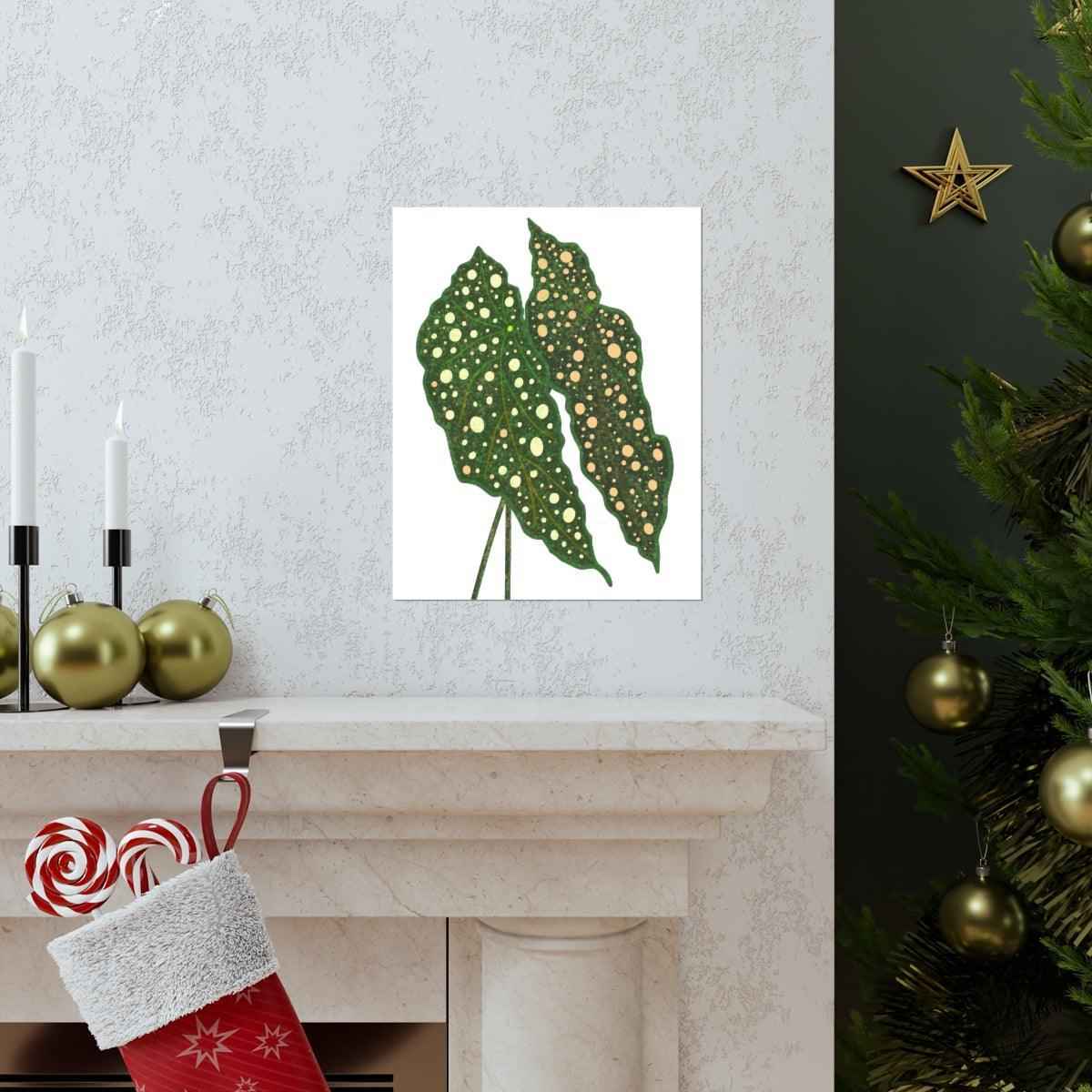 Begonia Maculata Botanical Print – Unframed Wall Art