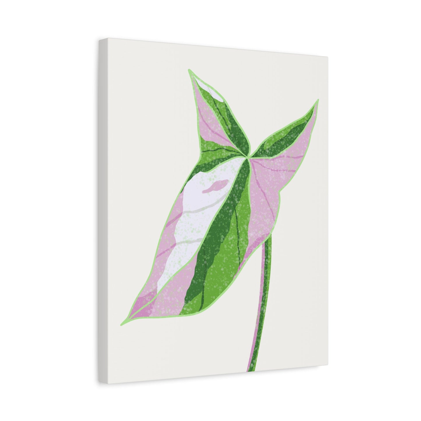 Syngonium Tricolor Canvas Print – Botanical Wall Art