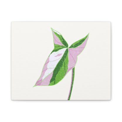 Syngonium Tricolor Canvas Print – Botanical Wall Art