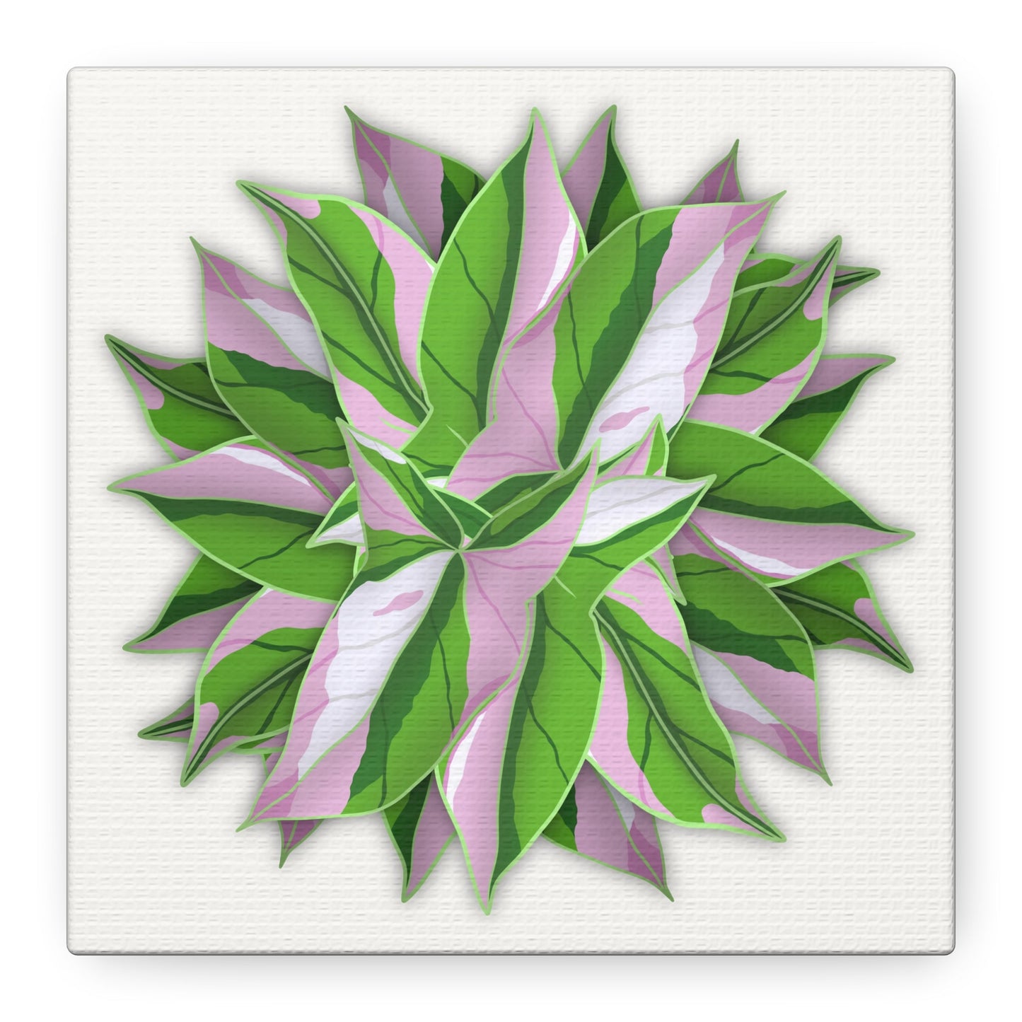 Syngonium Tricolor Pattern Canvas Print – Botanical Wall Art