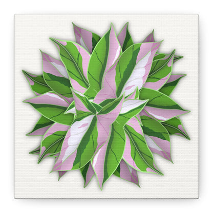 Syngonium Tricolor Pattern Canvas Print – Botanical Wall Art