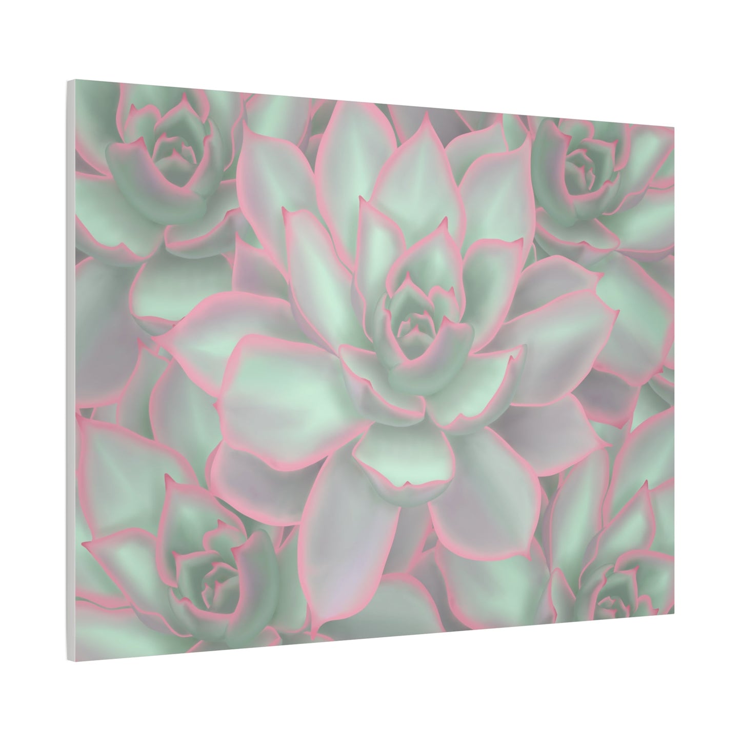 Echeveria Violet Queen Succulent Pattern Canvas Print – Botanical Wall Art