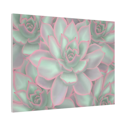 Echeveria Violet Queen Succulent Pattern Canvas Print – Botanical Wall Art