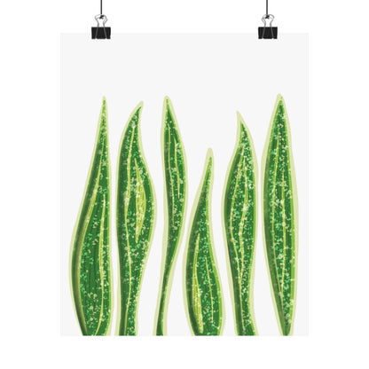 Snake Plant Botanical Print – Unframed Wall Art