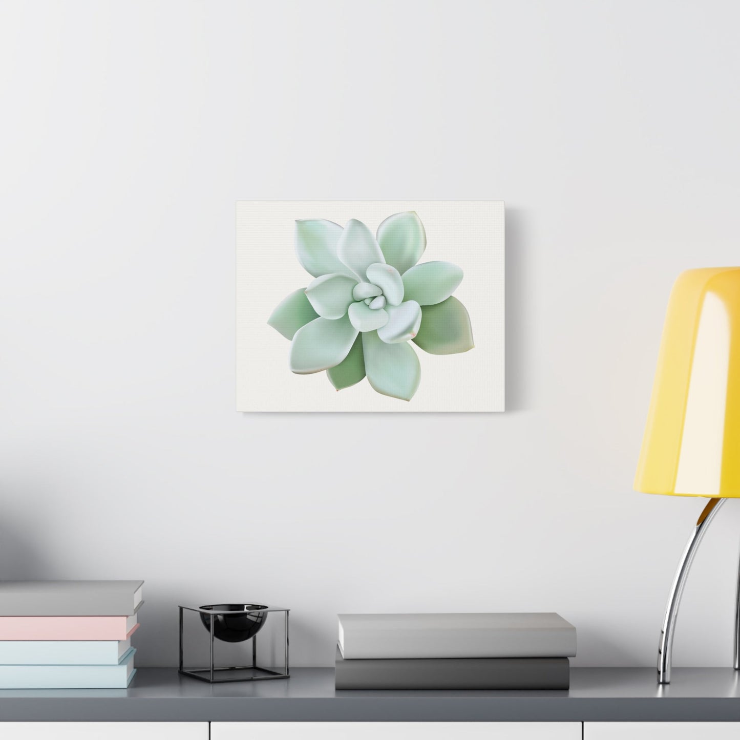 Pachyveria Haagei Succulent Canvas Print – Botanical Wall Art