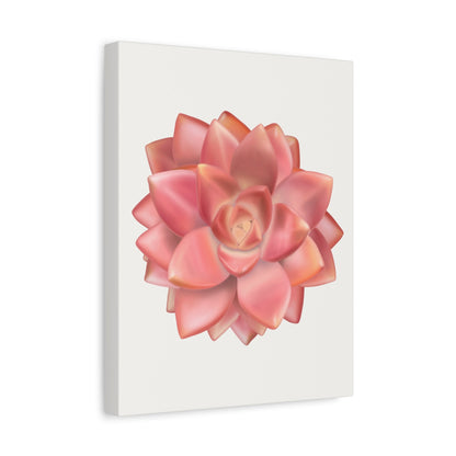 Graptosedum California Sunset Succulent Canvas Print – Botanical Wall Art