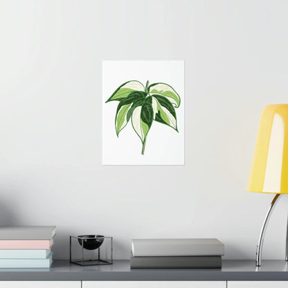 Philodendron Cream Splash Botanical Print – Unframed Wall Art
