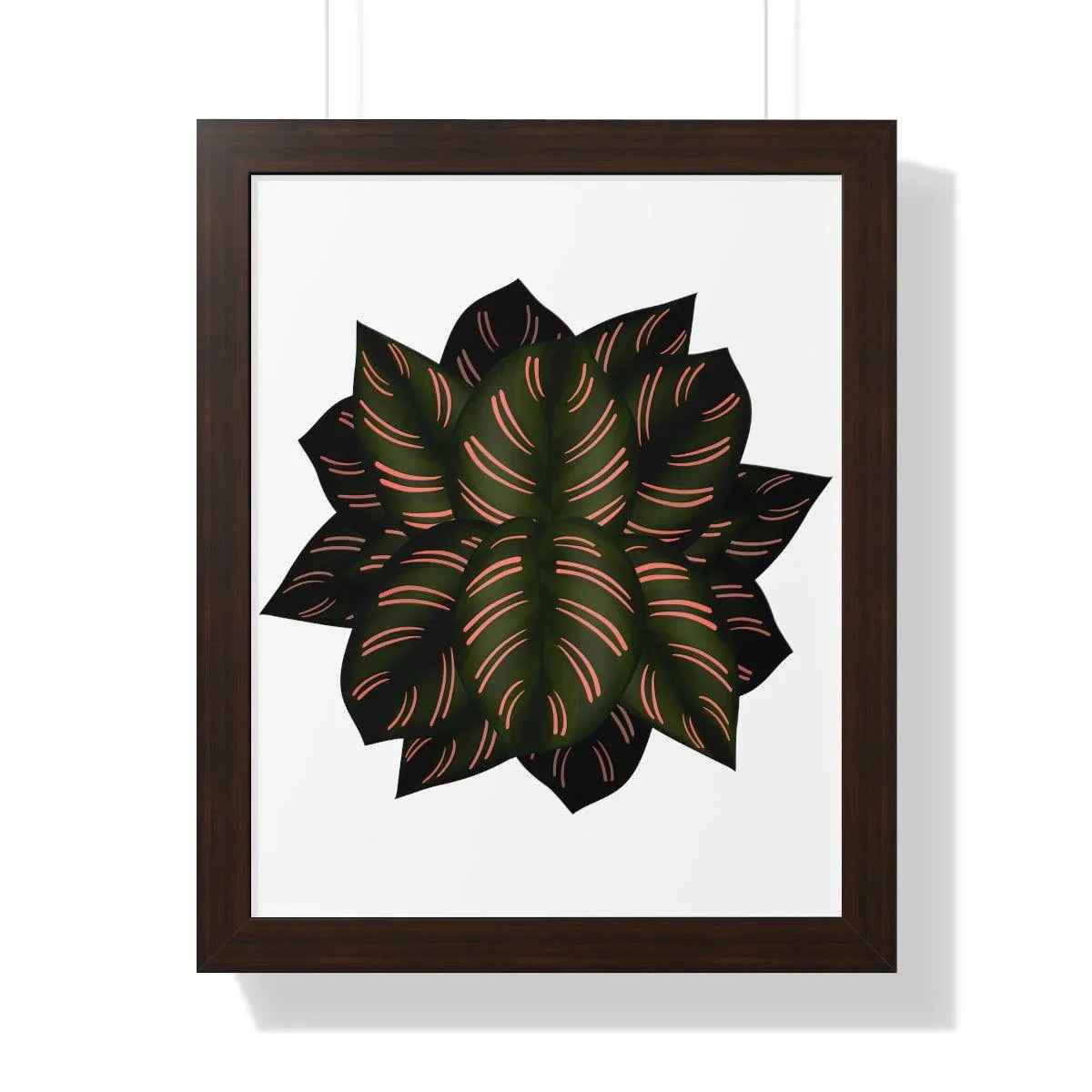 Calathea Pinstripe Framed Print – Botanical Wall Art