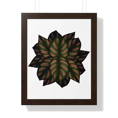 Calathea Pinstripe Framed Print – Botanical Wall Art