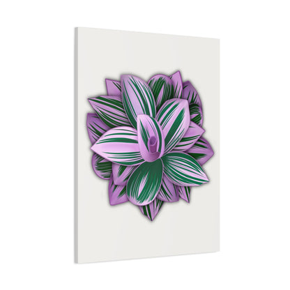 Tradescantia Nanouk Canvas Print – Botanical Wall Art