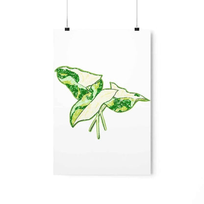 Marble Syngonium Botanical Print – Unframed Wall Art