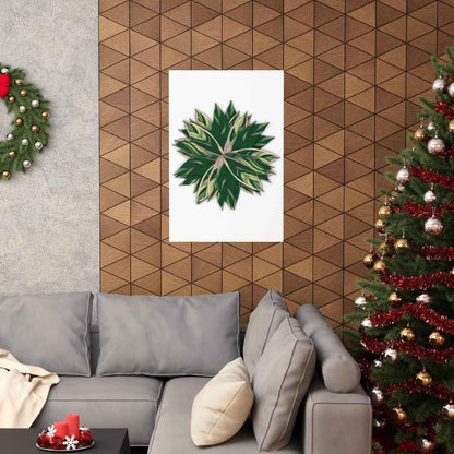 Stromanthe Triostar Botanical Print – Unframed Wall Art