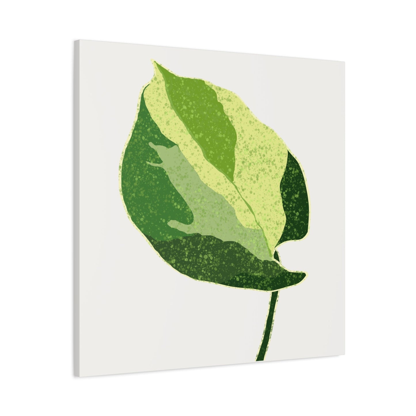Manjula Pothos Illustrated Canvas Print – Botanical Wall Art
