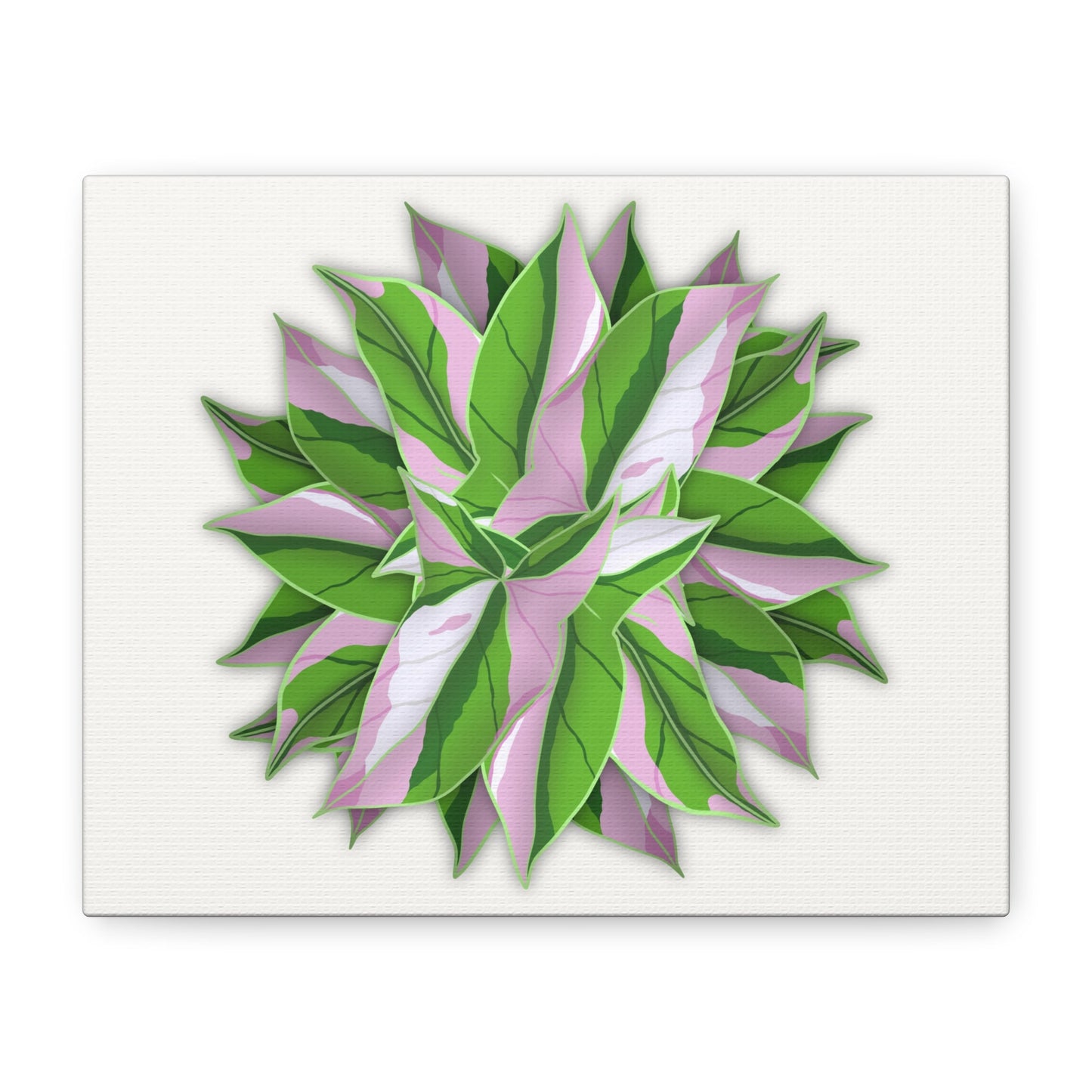Syngonium Tricolor Pattern Canvas Print – Botanical Wall Art