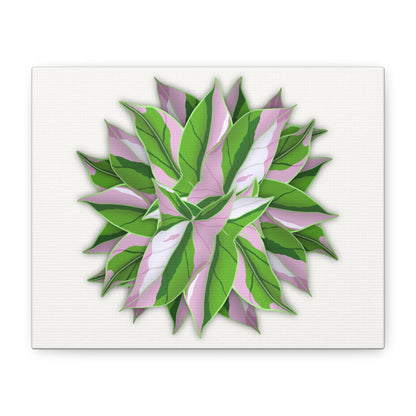 Syngonium Tricolor Pattern Canvas Print – Botanical Wall Art