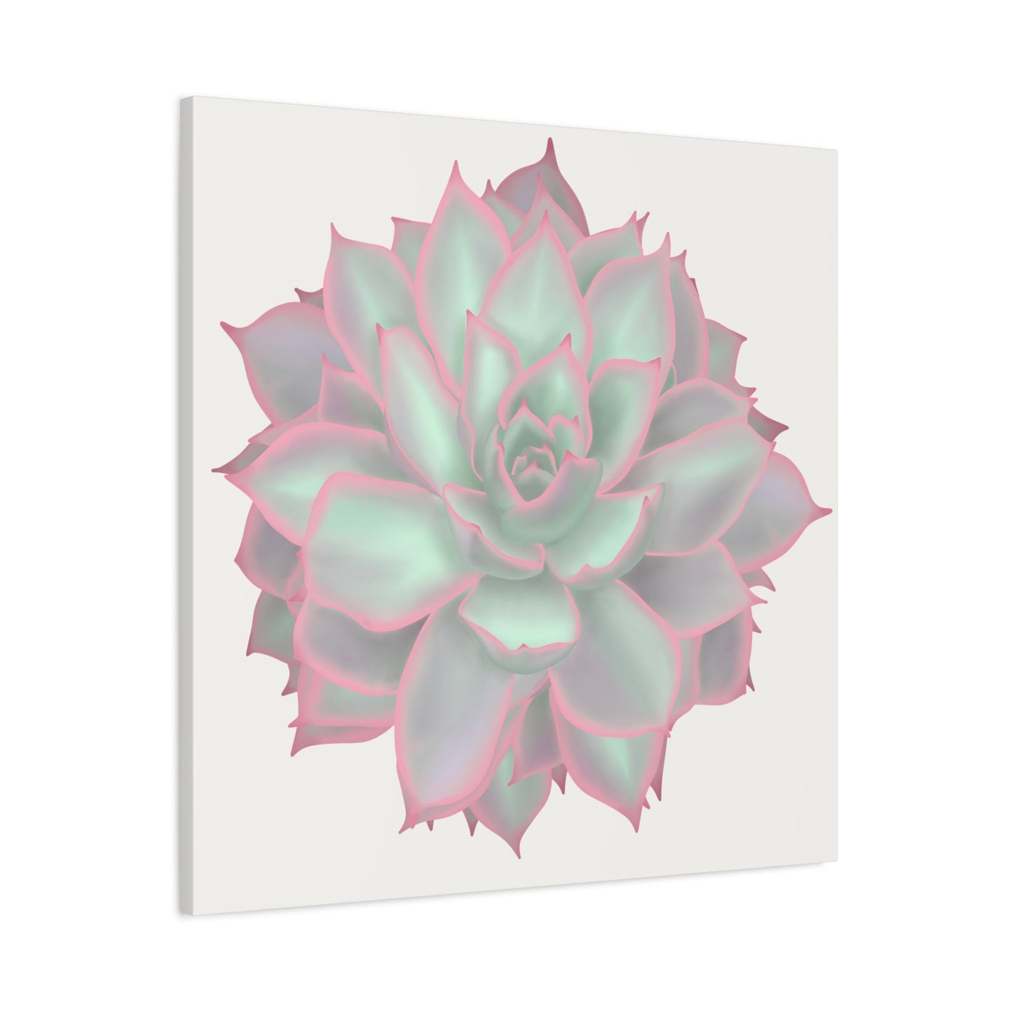 Echeveria Violet Queen Succulent Canvas Print – Botanical Wall Art