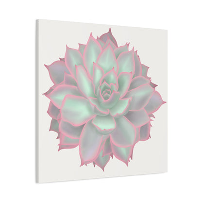 Echeveria Violet Queen Succulent Canvas Print – Botanical Wall Art