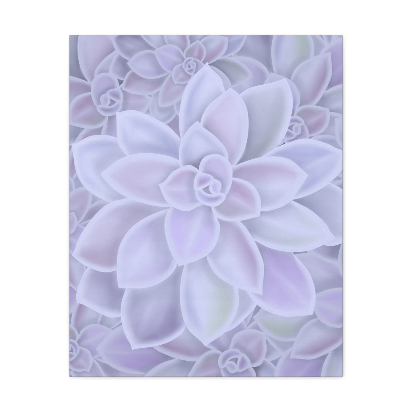 Graptopetalum Murasaki Succulent Pattern Canvas Print – Botanical Wall Art