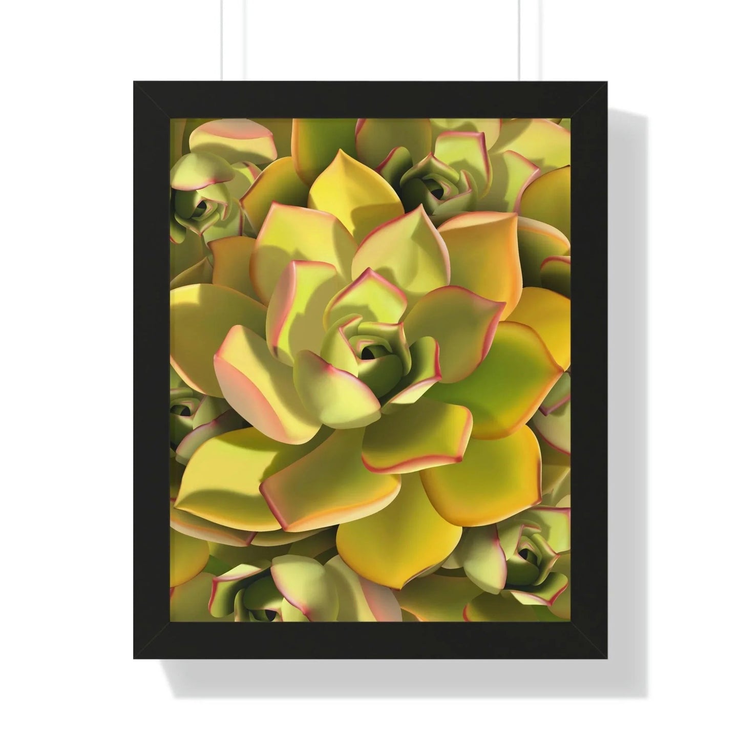 Noble Aeonium Succulent Pattern Framed Print – Botanical Wall Art