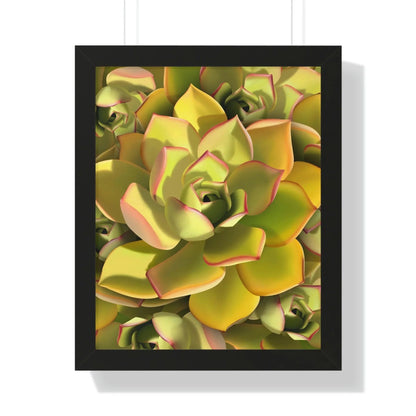 Noble Aeonium Succulent Pattern Framed Print – Botanical Wall Art