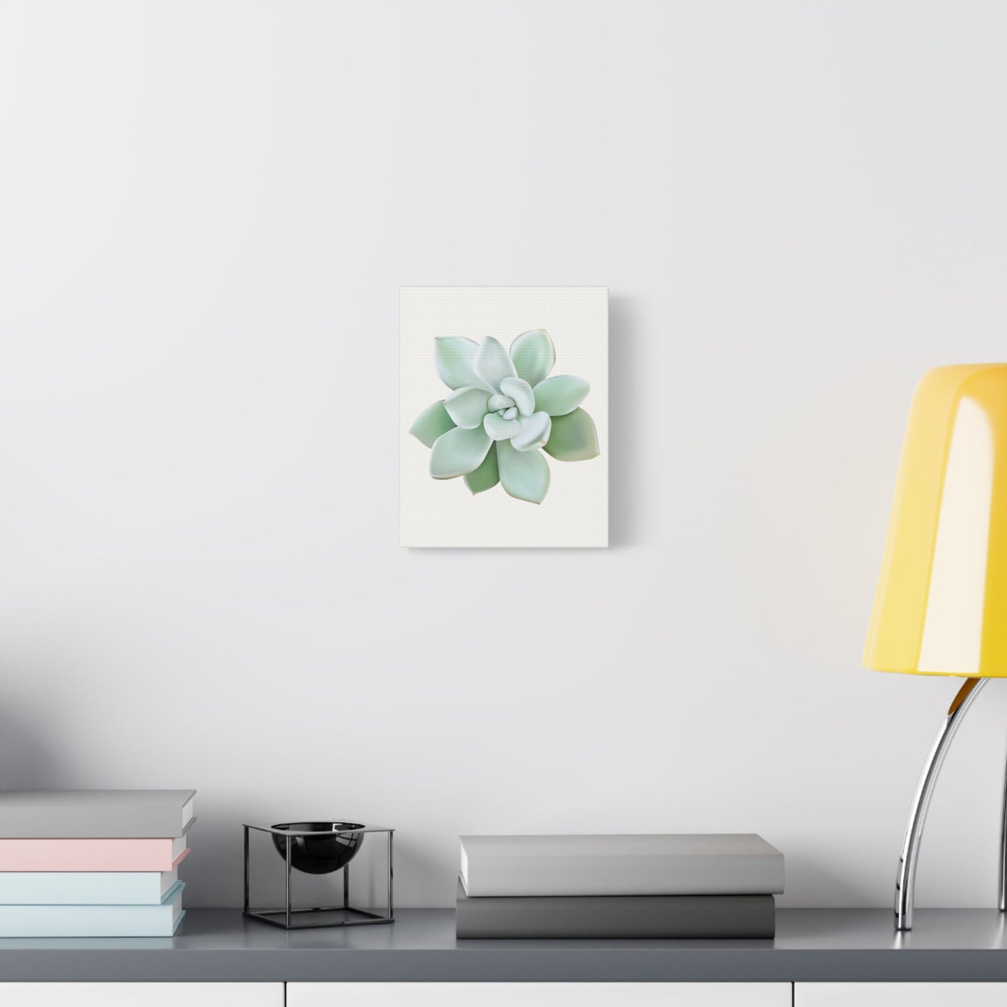 Pachyveria Haagei Succulent Canvas Print – Botanical Wall Art