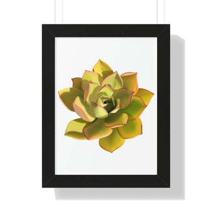 Noble Aeonium Succulent Framed Print – Botanical Wall Art