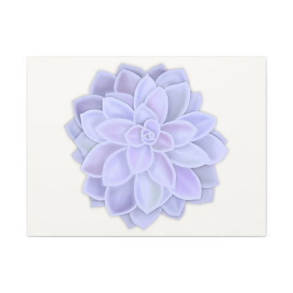 Graptopetalum Murasaki Succulent Canvas Print – Botanical Wall Art