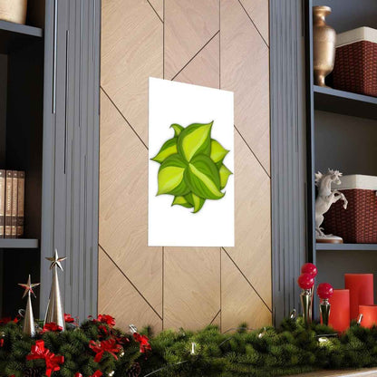 Philodendron Brasil Botanical Print – Unframed Wall Art