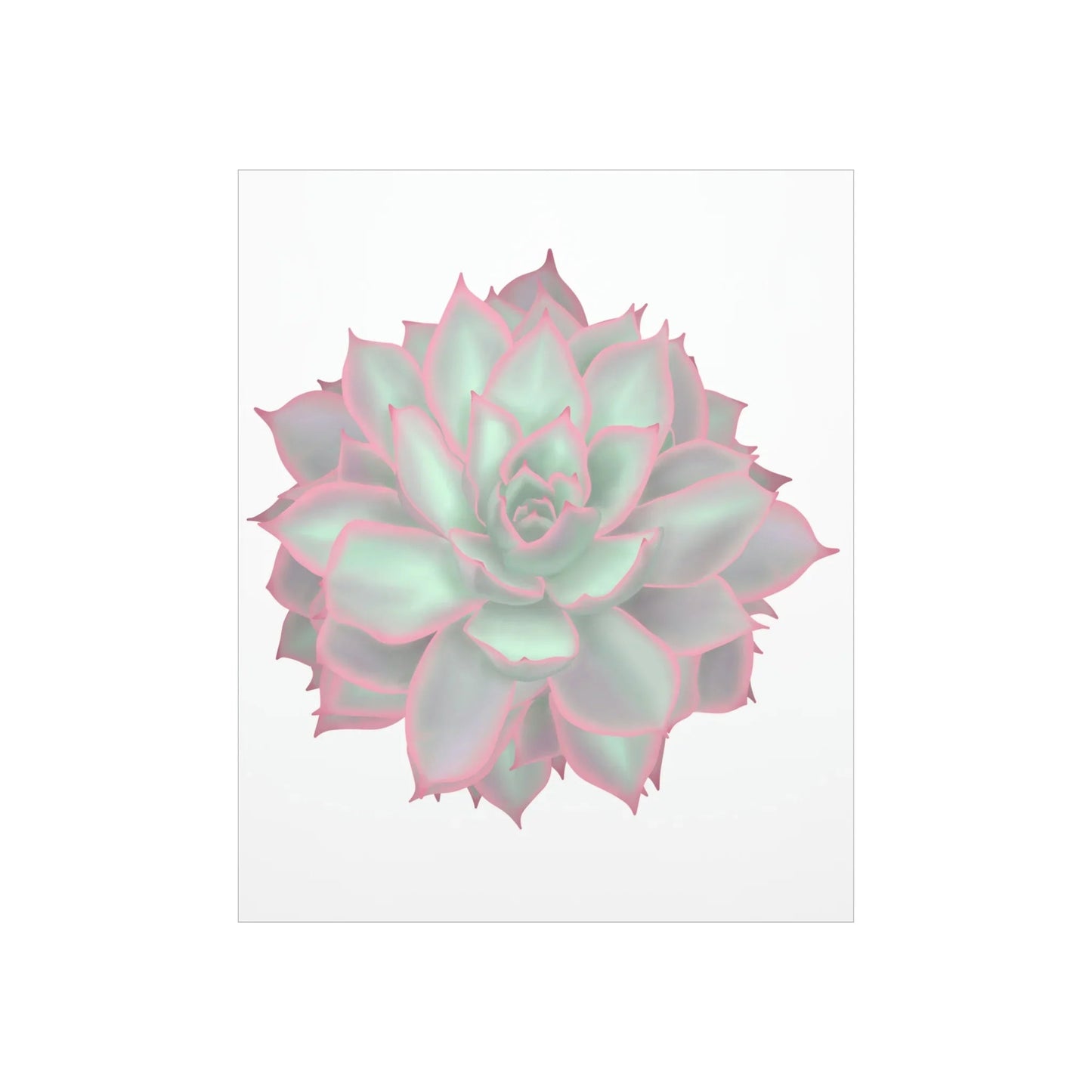 Echeveria Violet Queen Succulent Botanical Print – Unframed Wall Art