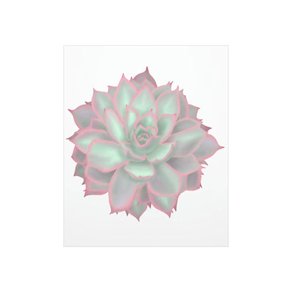 Echeveria Violet Queen Succulent Botanical Print – Unframed Wall Art
