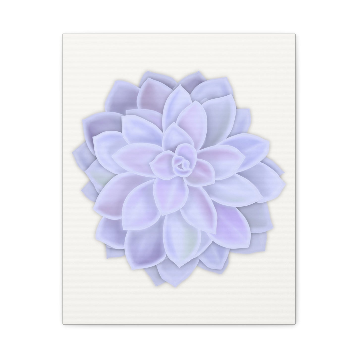 Graptopetalum Murasaki Succulent Canvas Print – Botanical Wall Art