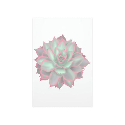 Echeveria Violet Queen Succulent Botanical Print – Unframed Wall Art