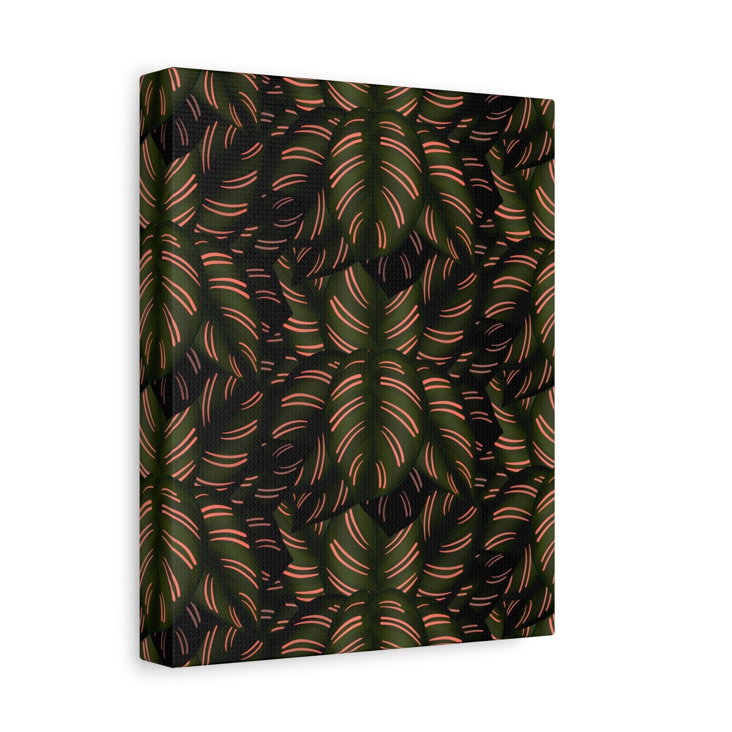 Calathea Pinstripe Pattern Canvas Print – Botanical Wall Art