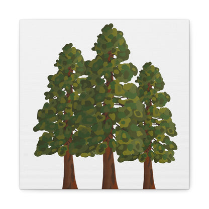 Coastal Redwood Canvas Print – Wall Art