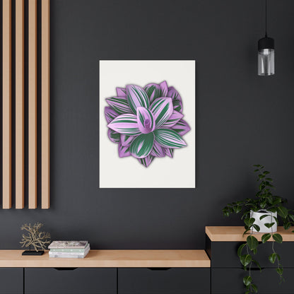 Tradescantia Nanouk Canvas Print – Botanical Wall Art
