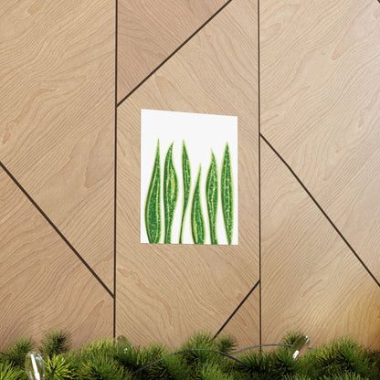 Snake Plant Botanical Print – Unframed Wall Art